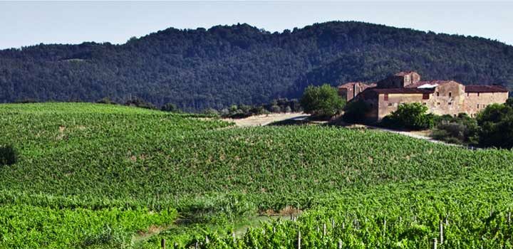 Carmignano tra vigne, arte e cultura