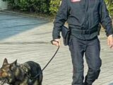 Spacciatore a 74 anni, scoperto dai Carabinieri con un etto di eroina