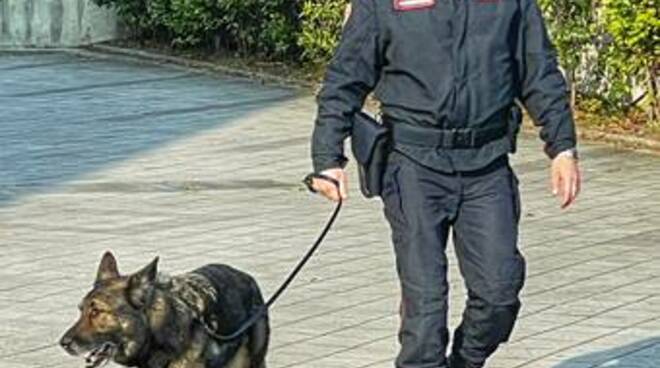 Spacciatore a 74 anni, scoperto dai Carabinieri con un etto di eroina