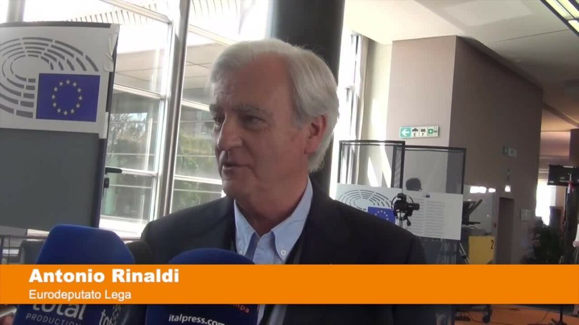Ue, Rinaldi “Serve attenzione nei rapporti con il Regno Unito” Ue, Rinaldi “Serve attenzione nei rapporti con il Regno Unito”