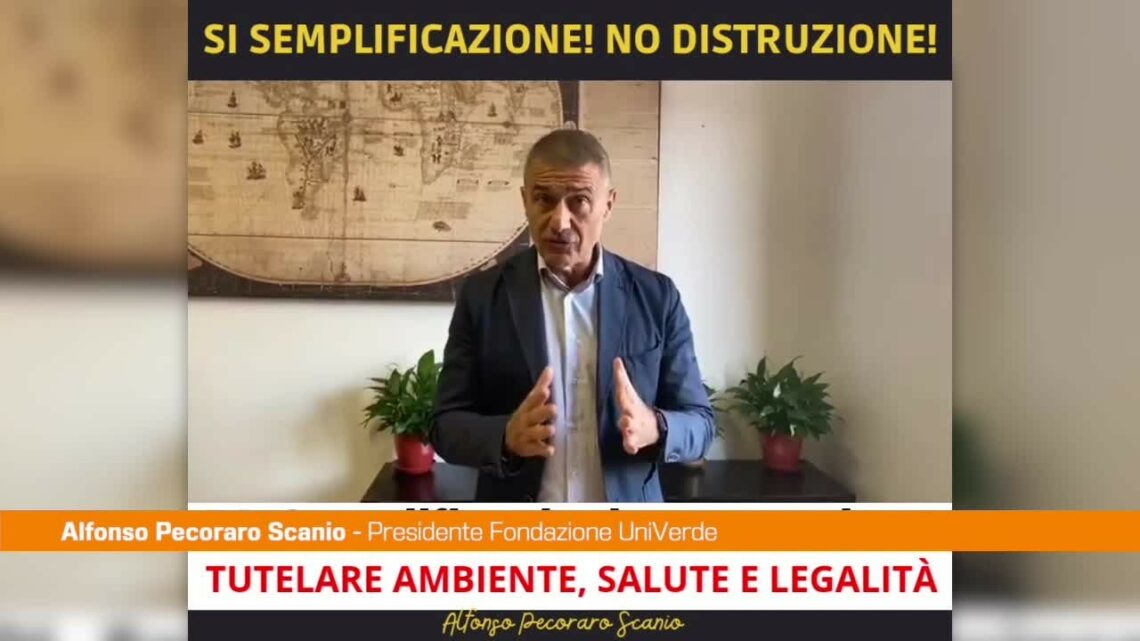 Pecoraro Scanio: “Servono semplificazioni vere e trasparenti” Pecoraro Scanio: “Servono semplificazioni vere e trasparenti”