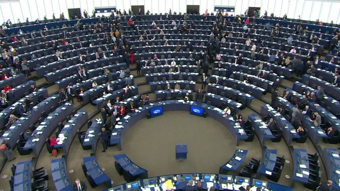Primo via libera dal parlamento Ue al Green Pass Primo via libera dal parlamento Ue al Green Pass