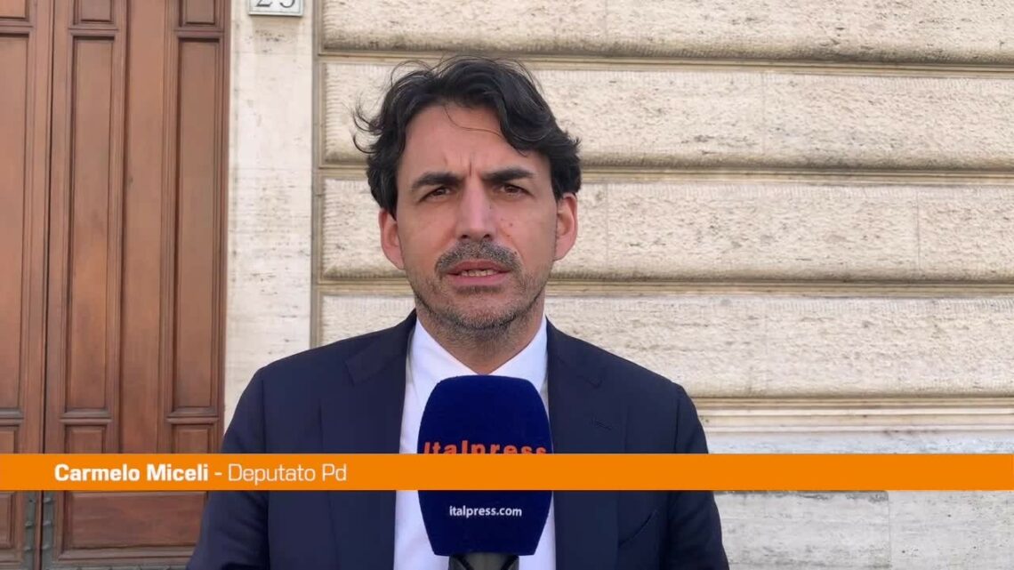 Denise, Miceli: “Inchiesta parlamentare per la verità” Denise, Miceli: “Inchiesta parlamentare per la verità”