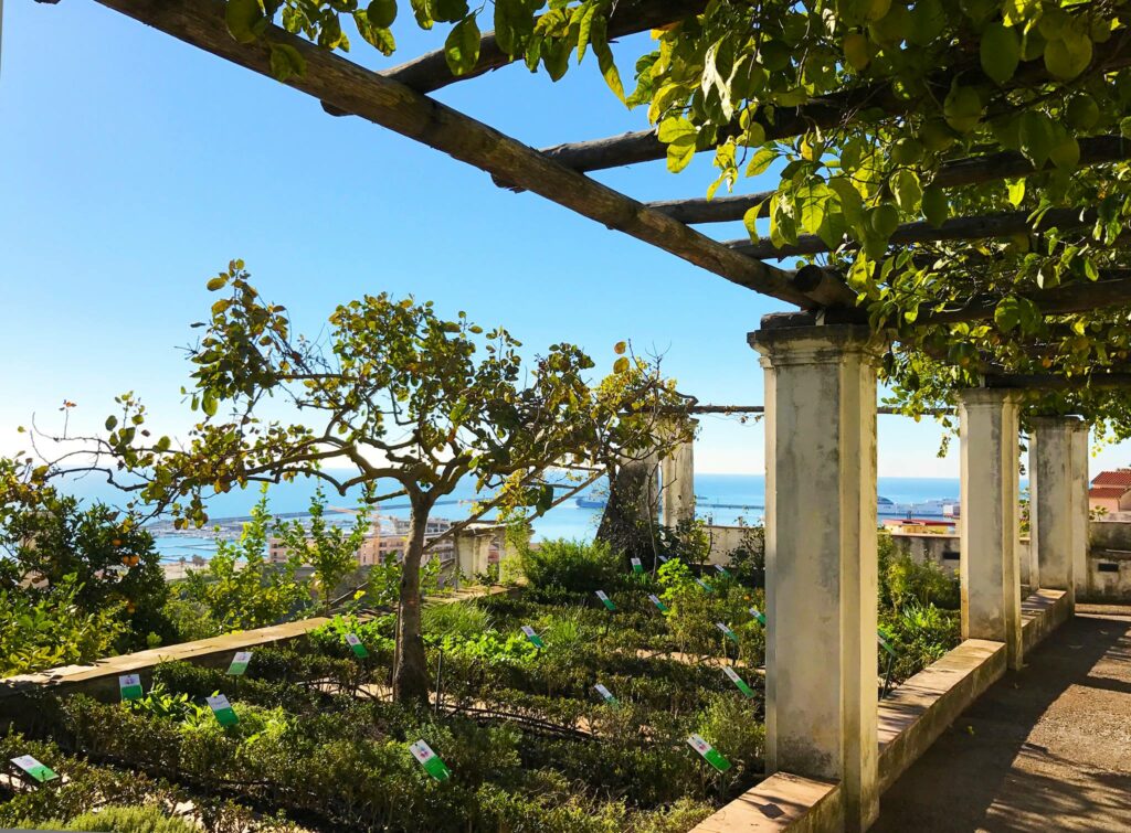 Scorcio del Giardino della Minerva (copyright Giardino della Minerva).