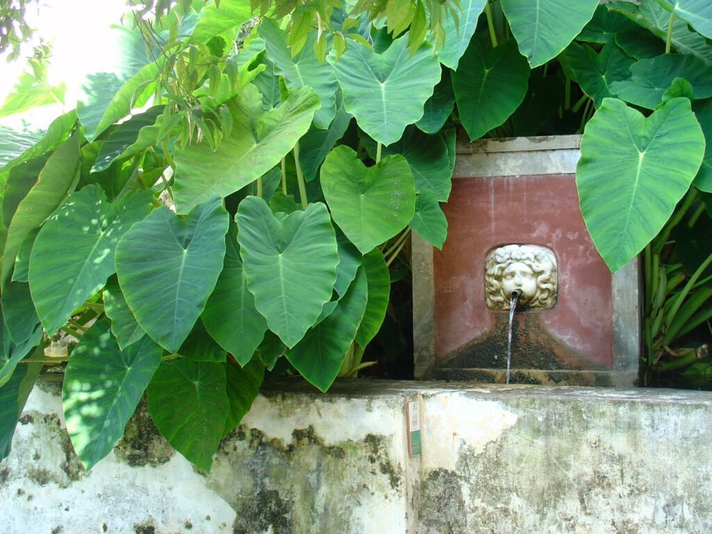 Giardino della Minerva, la fontana della Gorgone (foto Giardino della Minerva).