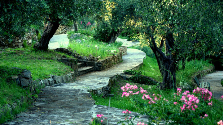 Giardino dell’Iris, godersi Firenze all’aria aperta