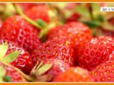 Sorsi di Benessere – Un “gazpacho” con fragole, pomodorini e basilico