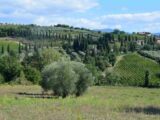Bolle, botti, rifugi sugli alberi. Il camping diventa glamping