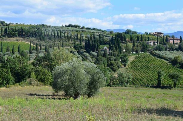 Bolle, botti, rifugi sugli alberi. Il camping diventa glamping