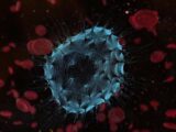Melanoma, al via la campagna “oltre la pelle”