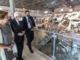Mattarella “Dovere della Repubblica ricostruire completamente i fatti”