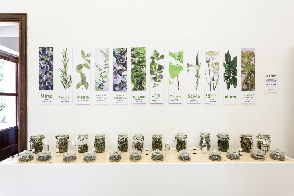 Collezione di erbe officinali del Museo vivente della dieta Mediterranea di Pollica (copyright Antonio Riccio).