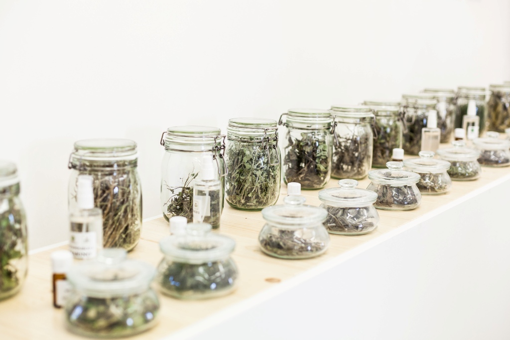 Collezione di erbe officinali del Museo vivente della dieta Mediterranea di Pollica (copyright Antonio Riccio).