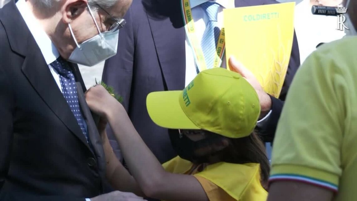 Mattarella: “Offrire a giovani occasioni per riflettere su futuro” Mattarella: “Offrire a giovani occasioni per riflettere su futuro”