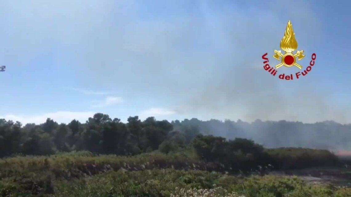 Lecce, i canadair intervengono per spegnere un incendio Lecce, i canadair intervengono per spegnere un incendio