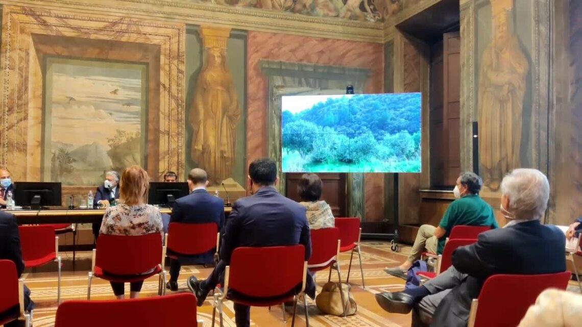 Torna il bando “Agro-Social: seminiamo valore” Torna il bando “Agro-Social: seminiamo valore”