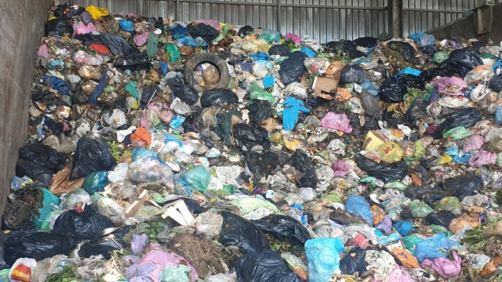 Salvato Toto, il cane finito nel trita-rifiuti della discarica di Livorno