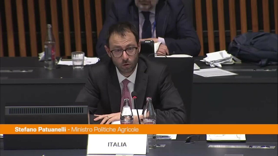 Patuanelli: “Ue abolisca gli allevamenti di animali da pelliccia” Patuanelli: “Ue abolisca gli allevamenti di animali da pelliccia”