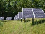 Sicilia, l’agricoltura si fa comunità energetica