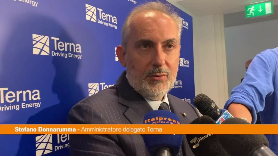 Terna, Donnarumma: “Investiamo su rete efficiente e sicura” Terna, Donnarumma: “Investiamo su rete efficiente e sicura”