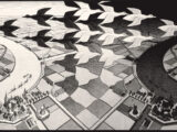 La grande mostra su Escher al via al Palazzo Ducale di Genova