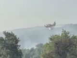Incendi dalle Madonie al Parco dell’Etna, canadair in azione in Sicilia
