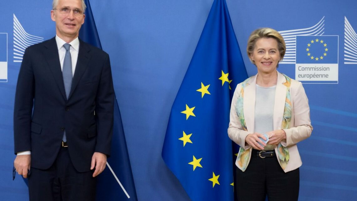 Afghanistan, Von der Leyen “Ue e Nato devono restare uniti” Afghanistan, Von der Leyen “Ue e Nato devono restare uniti”
