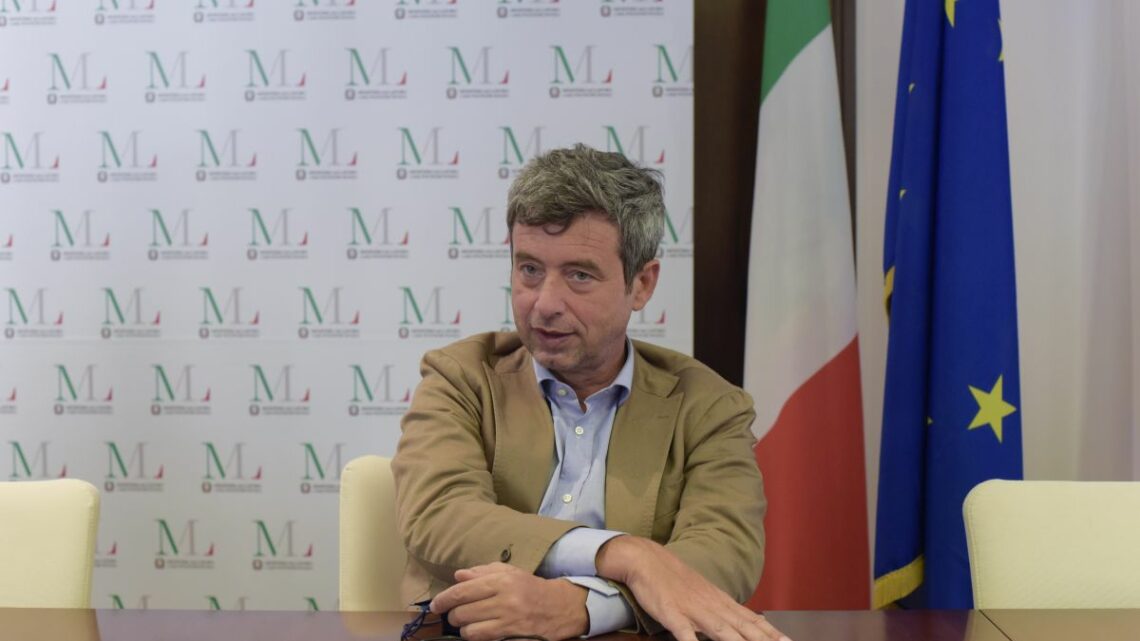 Lavoro, Orlando “5 miliardi con recovery per politiche attive” Lavoro, Orlando “5 miliardi con recovery per politiche attive”