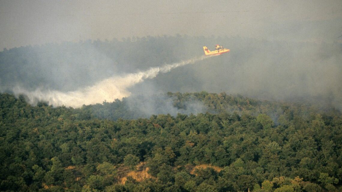Incendi, in Italia dall’inizio del 2021 bruciati 158mila ettari Incendi, in Italia dall’inizio del 2021 bruciati 158mila ettari
