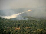 Incendi, in Italia dall’inizio del 2021 bruciati 158mila ettari