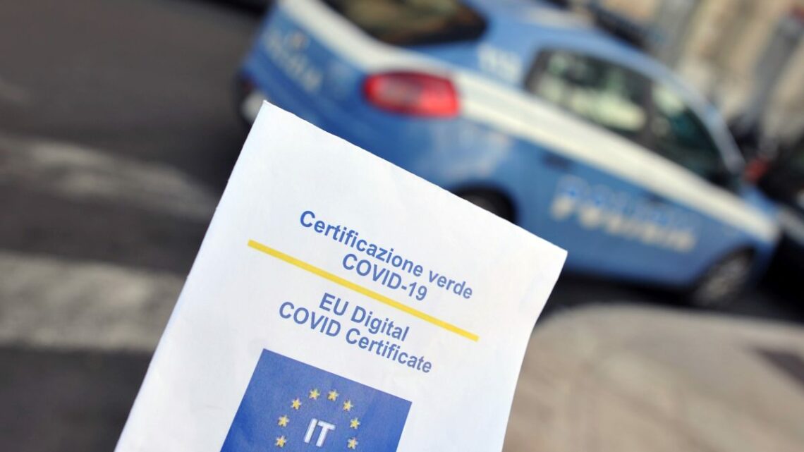 Green pass, Assindatcolf “Estendere l’obbligo a baby sitter e domestici” Green pass, Assindatcolf “Estendere l’obbligo a baby sitter e domestici”