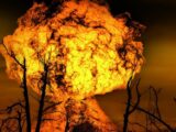Da Cdm ok a decreto incendi, inasprite pene