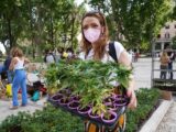 Cannabis, raggiunte 500.000 firme per referendum legalizzazione