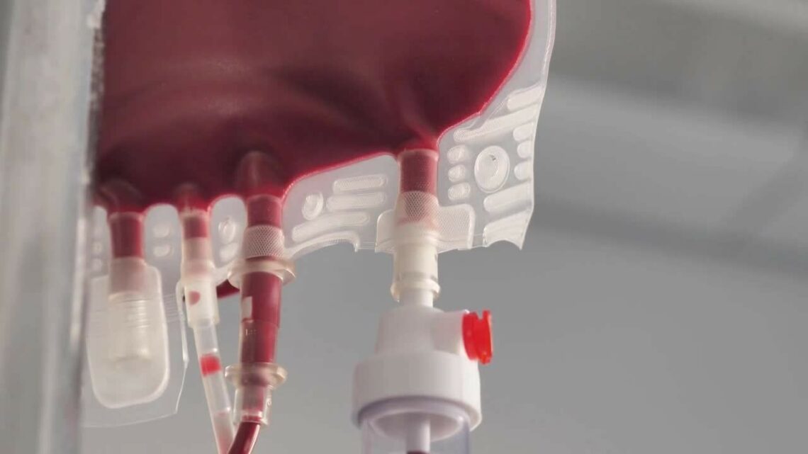 Carenza di 650 unità di sangue in Italia Carenza di 650 unità di sangue in Italia