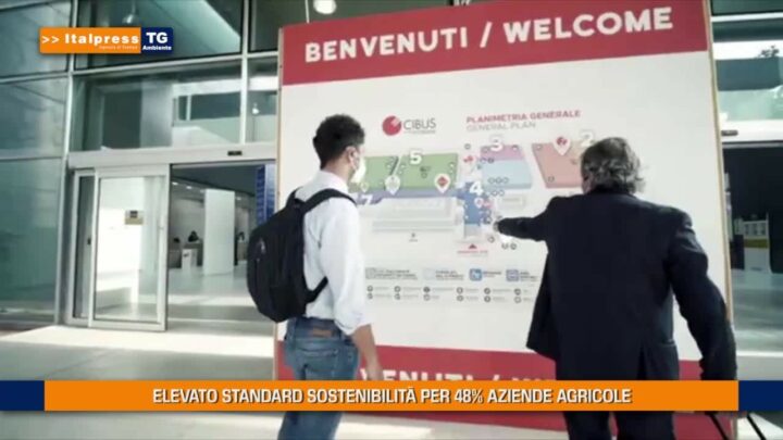 Tg Ambiente – 12/9/2021