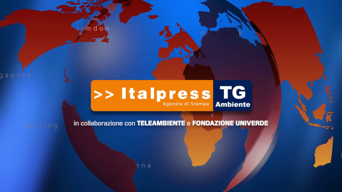 Tg Ambiente – 26/9/2021 Tg Ambiente – 26/9/2021