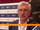 D’Alema: “Export importante, politica? Non è situazione normale”