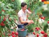 Agricoltura, UE lancia la giornata della produzione biologica