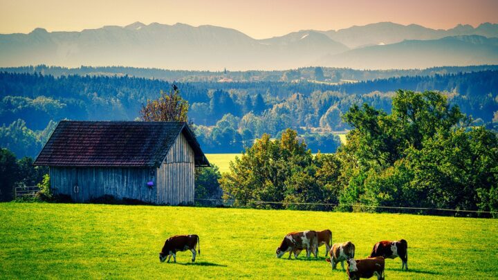 La carne in vitro e l’autogol green dell’Europa
