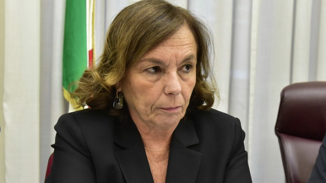 Lamorgese “Era rischioso arrestare Castellino durante la manifestazione” Lamorgese “Era rischioso arrestare Castellino durante la manifestazione”
