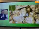 Nasce il portale unico del tartufo delle Marche