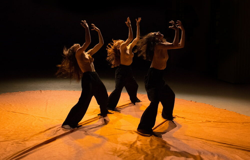 Oltre la linea d’inverno: la danza contemporanea nei teatri di prossimità Oltre la linea d’inverno: la danza contemporanea nei teatri di prossimità
