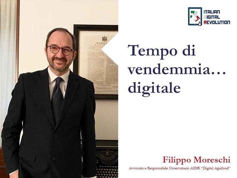 Tempo di vendemmia… digitale Tempo di vendemmia… digitale