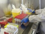 Covid, 8.516 casi e 68 decessi in 24 ore