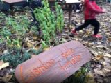 Wwf-P&G, 2000 mq di verde per gli alunni delle scuole italiane