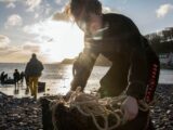 Intesa Sp, Wwf e Jovanotti insieme per difendere e tutelare la natura