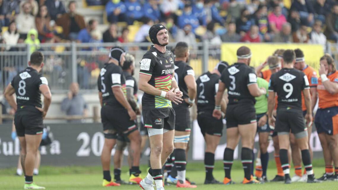 Zebre atterrate a Bologna, tamponi tutti negativi Zebre atterrate a Bologna, tamponi tutti negativi