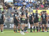 Zebre atterrate a Bologna, tamponi tutti negativi