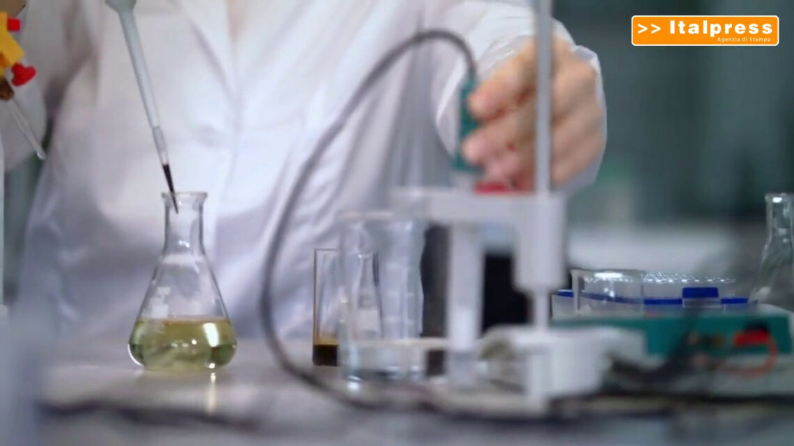Realizzato modello di sviluppo tumorale in vitro Realizzato modello di sviluppo tumorale in vitro