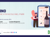 Il settore vitivinicolo nel PNRR, approfondimento a Digitale Italia